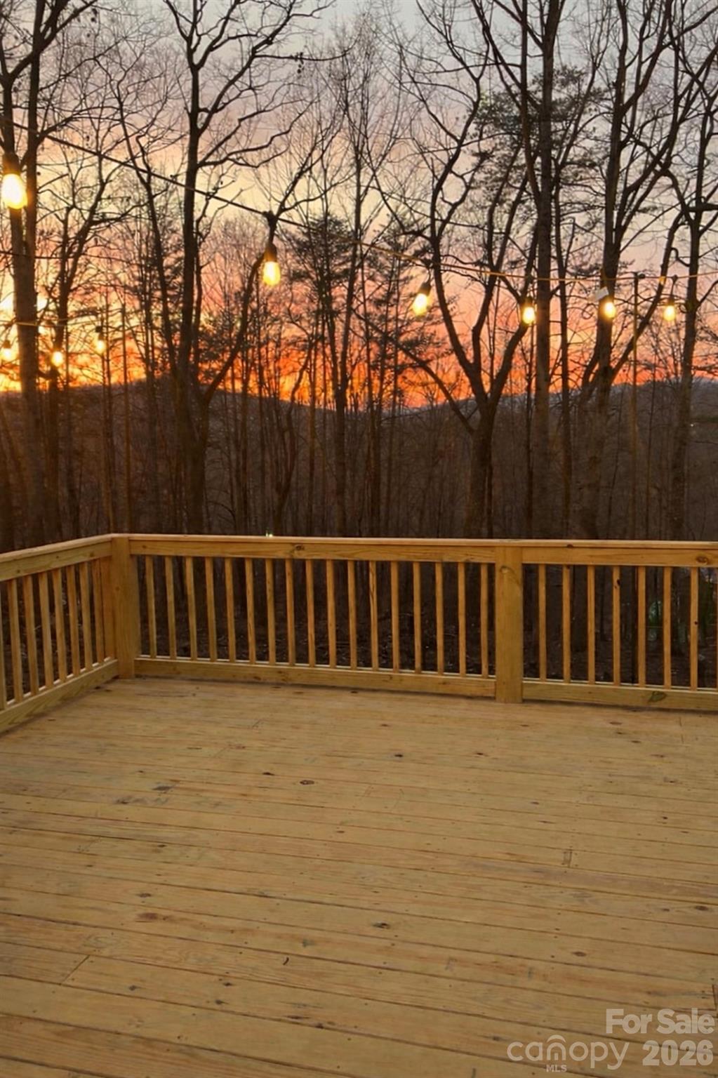 151 Mourning Dove Drive Marion NC 28752