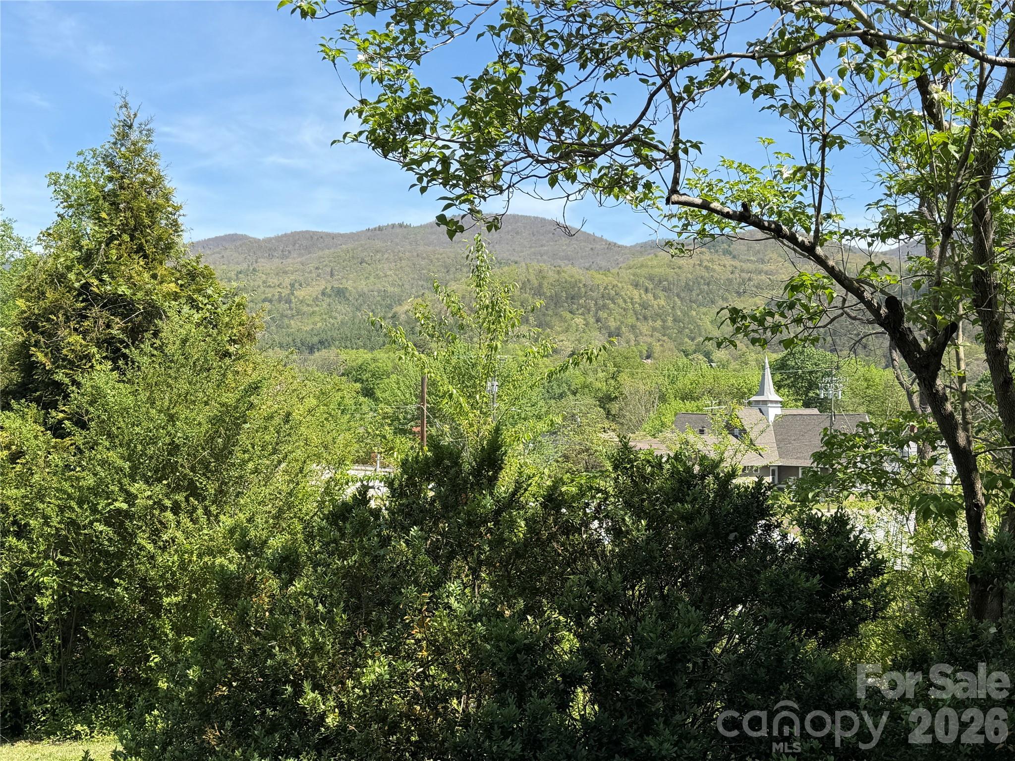 29 Walnut Street Hot Springs NC 28743