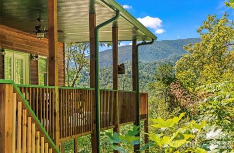 461 N Mallard Cove Almond NC 28771