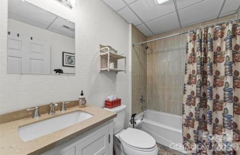 461 N Mallard Cove Almond NC 28771