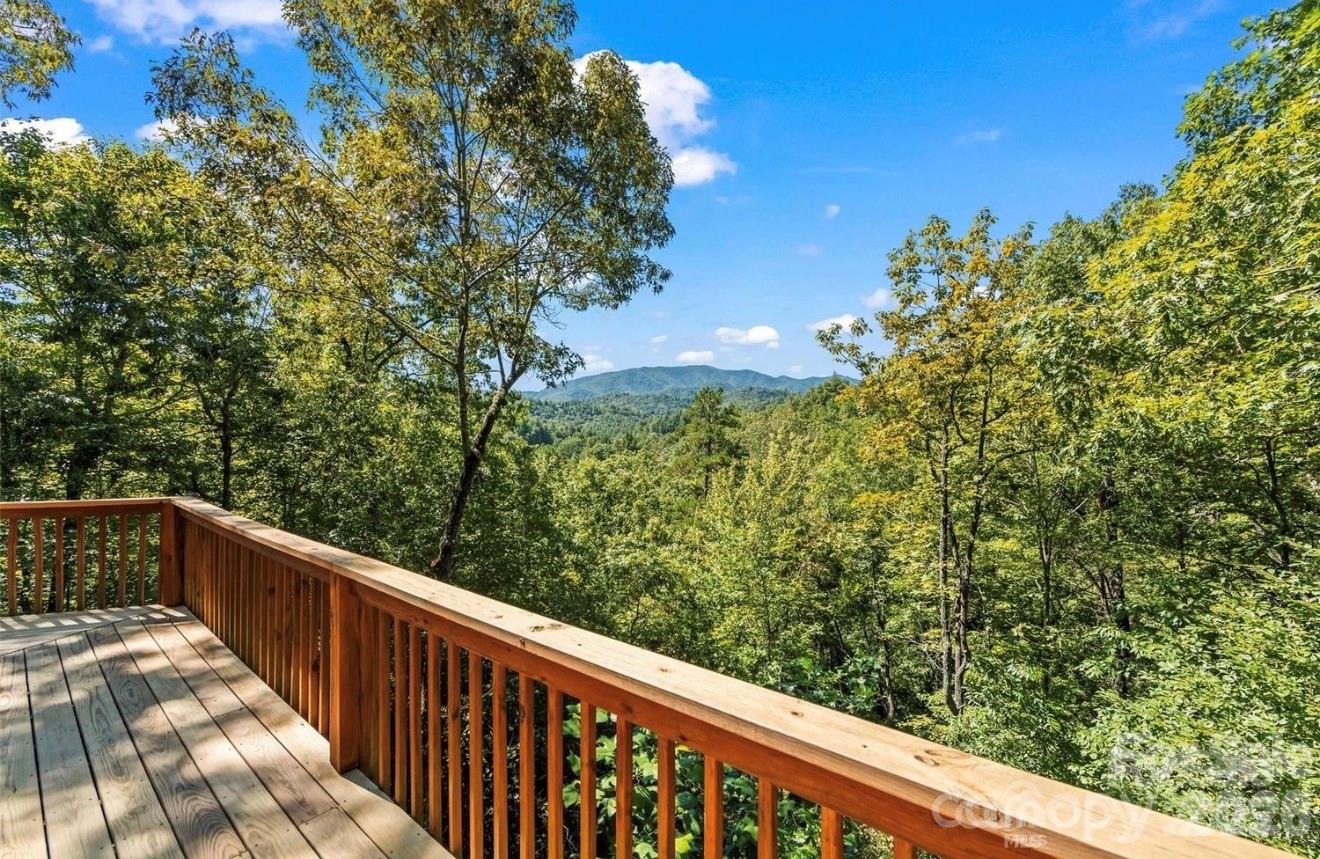 461 N Mallard Cove Almond NC 28771