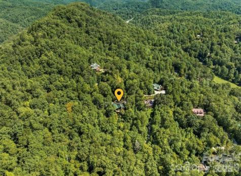 461 N Mallard Cove Almond NC 28771