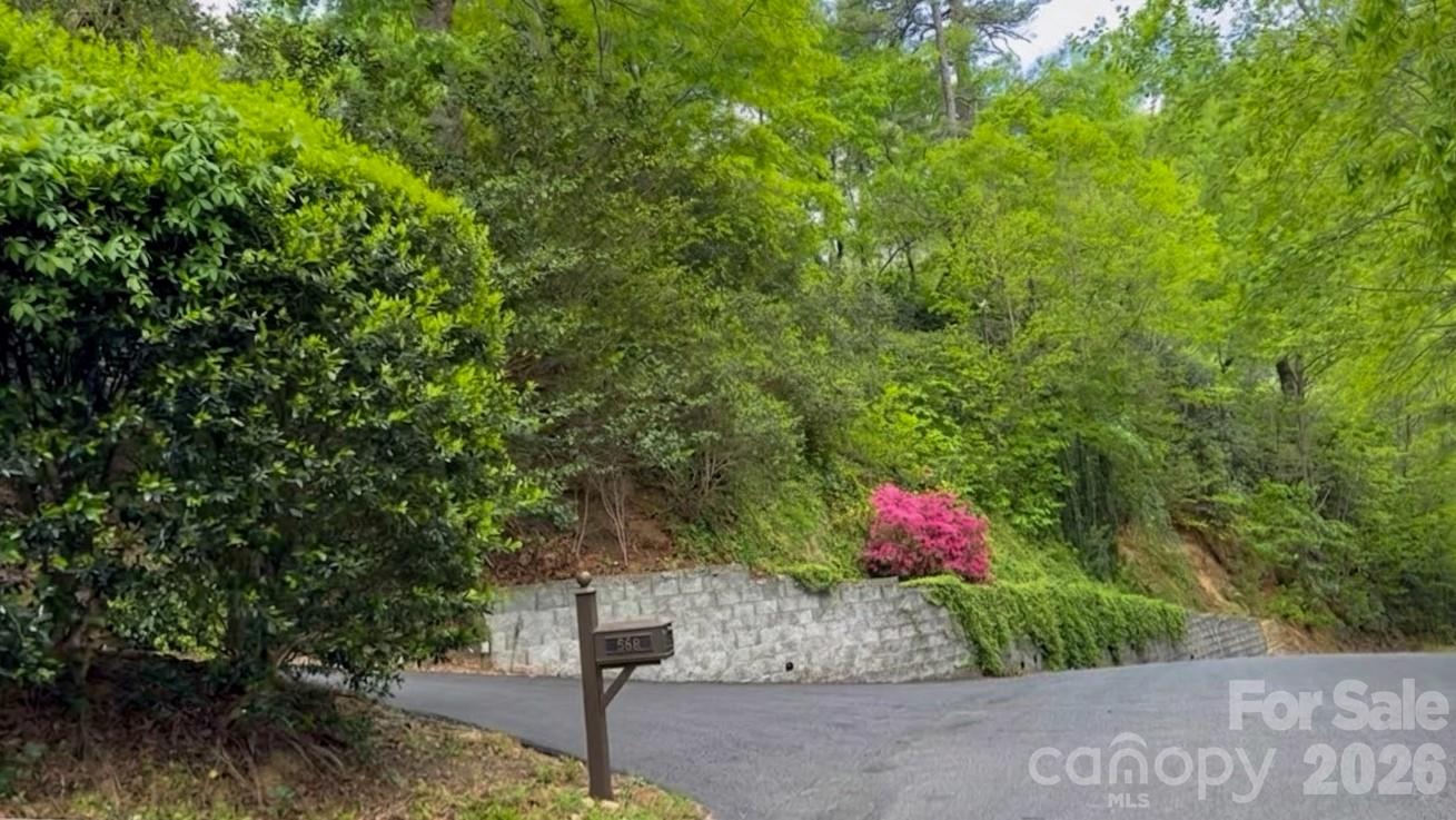556 Quail Ridge Boulevard Lake Lure NC 28746