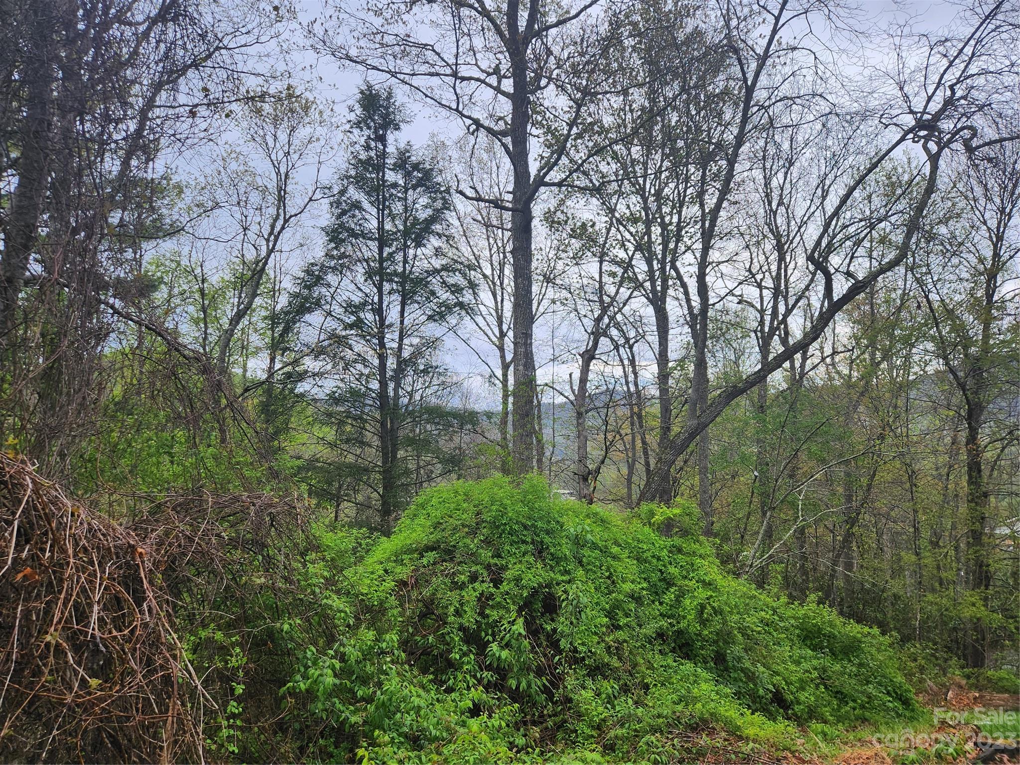55 Whitaker Circle Fairview NC 28730