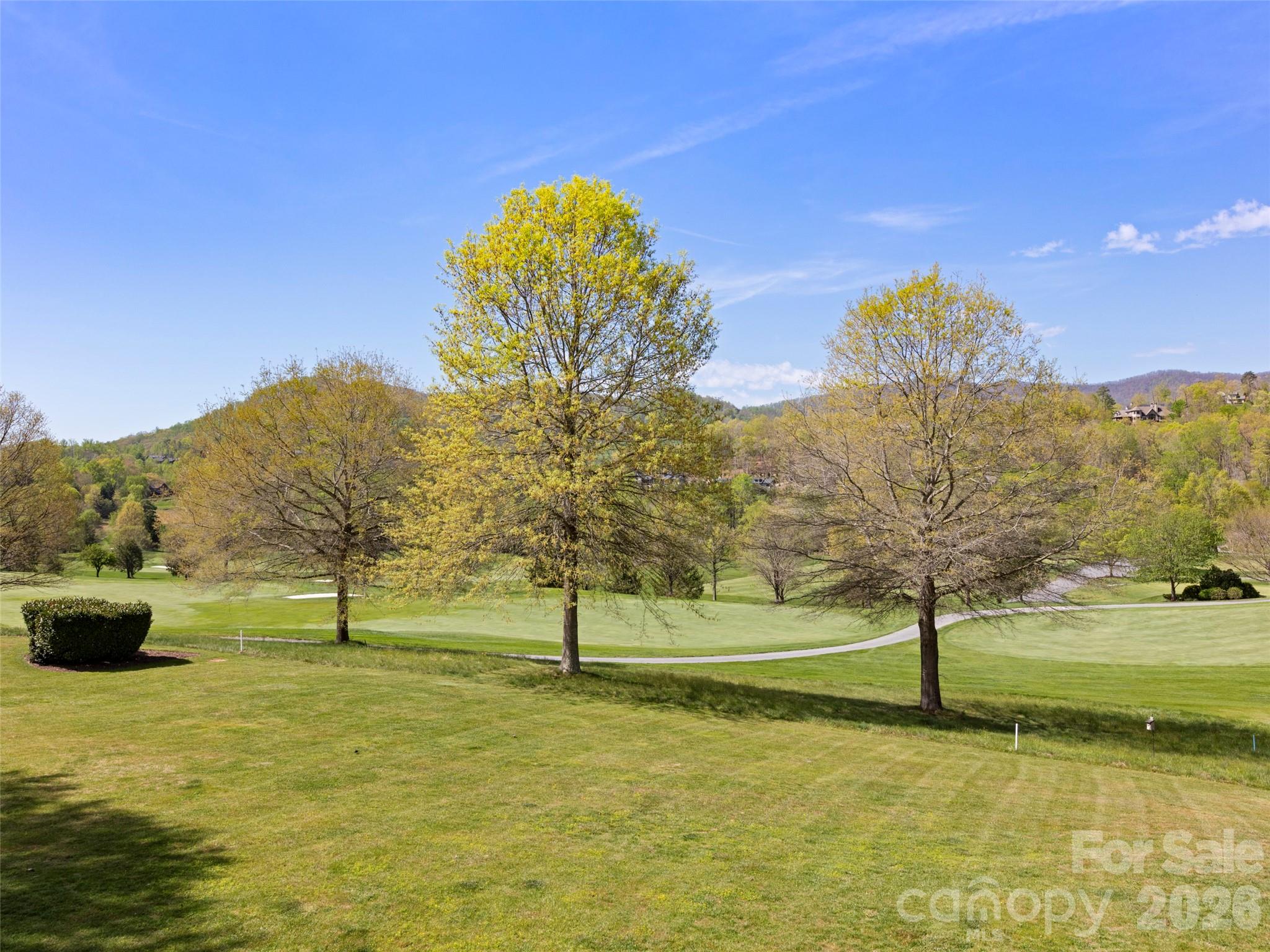 14 Golfside Court Arden NC 28704