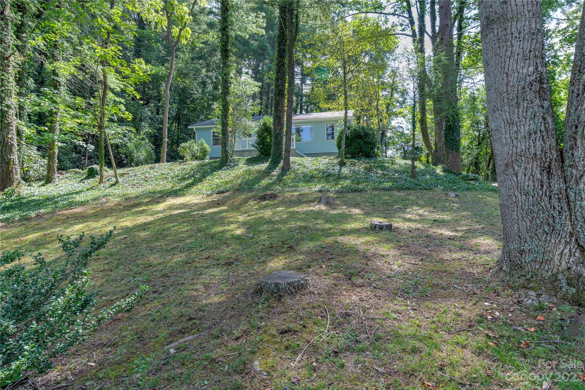 287 Beaverdam Road Asheville NC 28804