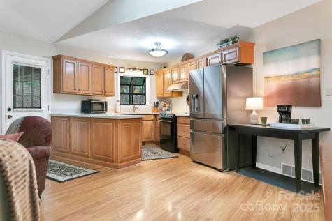 1005 Middle Connestee Trail Brevard NC 28712