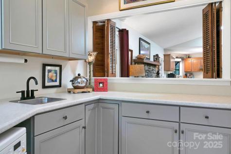 1005 Middle Connestee Trail Brevard NC 28712