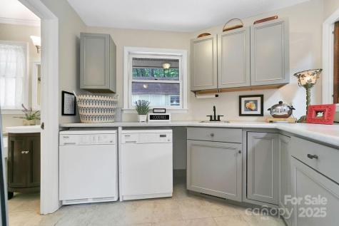 1005 Middle Connestee Trail Brevard NC 28712