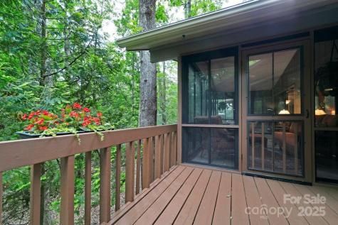 1005 Middle Connestee Trail Brevard NC 28712