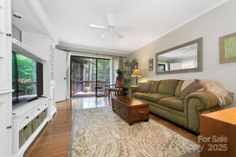 1005 Middle Connestee Trail Brevard NC 28712