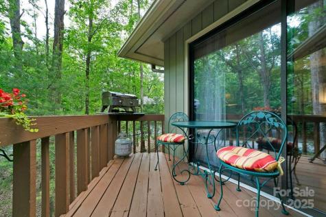 1005 Middle Connestee Trail Brevard NC 28712