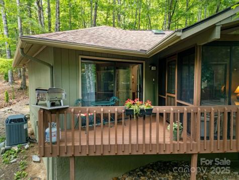 1005 Middle Connestee Trail Brevard NC 28712