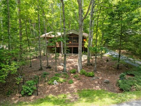 1005 Middle Connestee Trail Brevard NC 28712