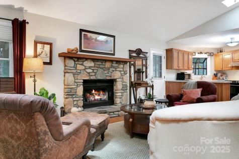 1005 Middle Connestee Trail Brevard NC 28712