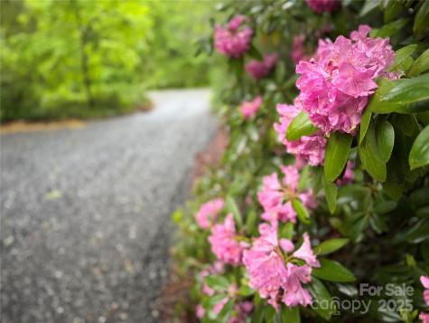 12 Thumper Lane Arden NC 28704