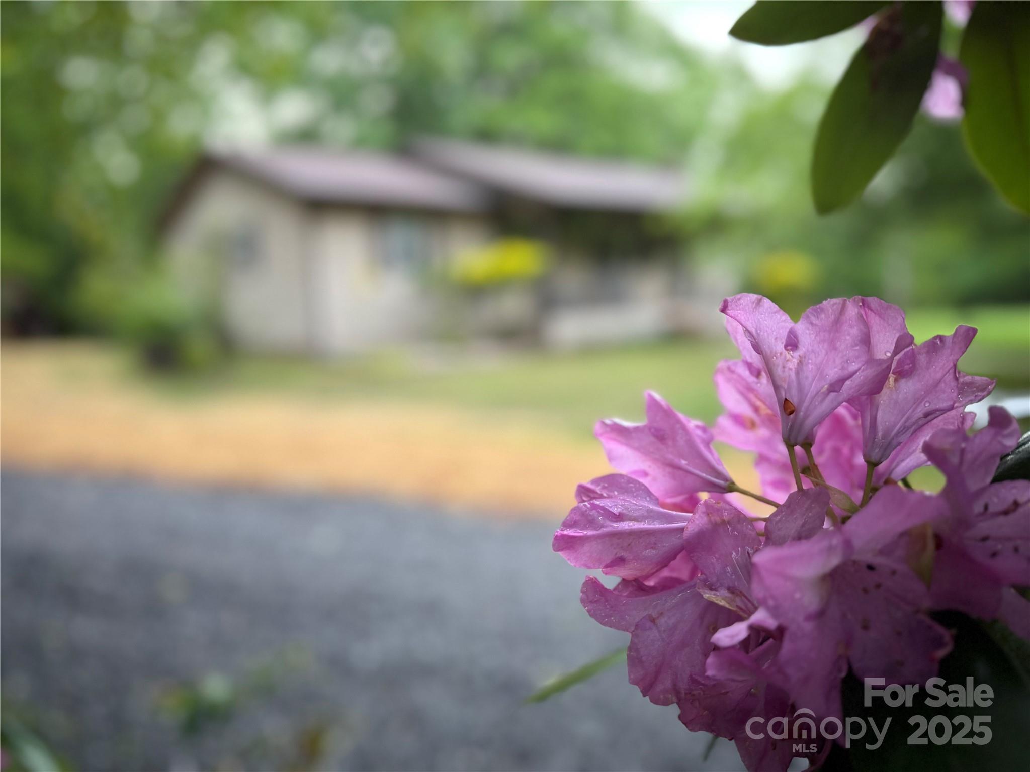 12 Thumper Lane Arden NC 28704