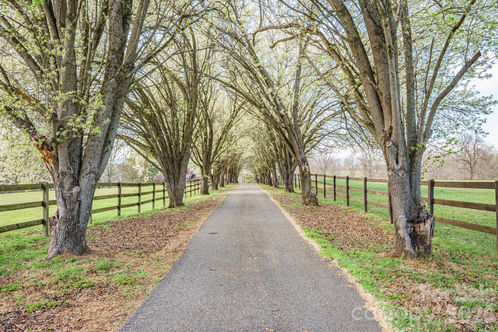 1924 Buck Shoals Road Hamptonville NC 27020