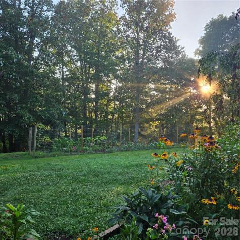 649 Upper Bailey Branch Road Mars Hill NC 28754