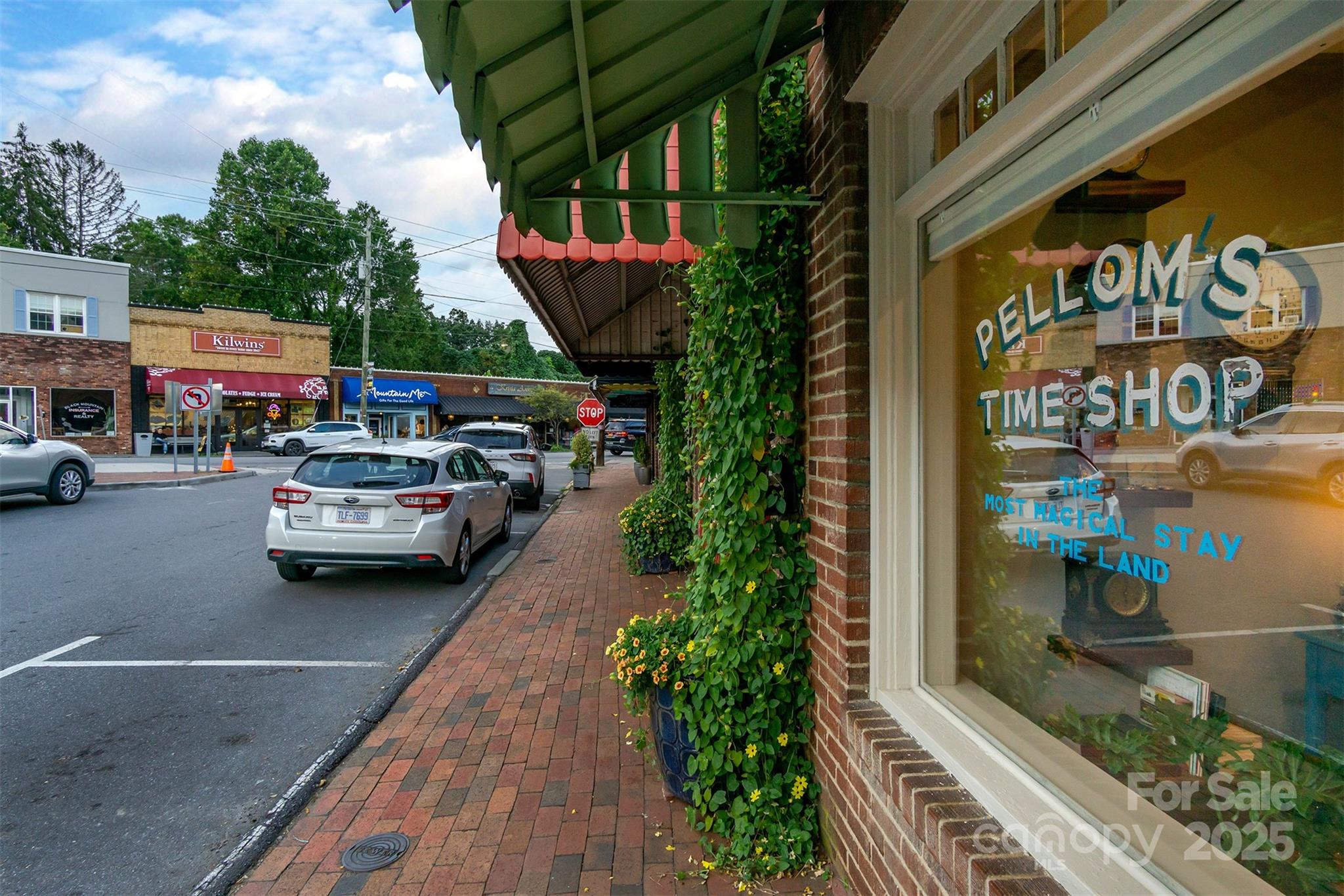 107 Cherry Street Black Mountain NC 28711