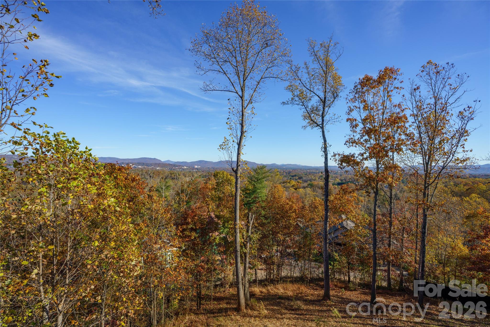41 Ben Lippen School Road Asheville NC 28806