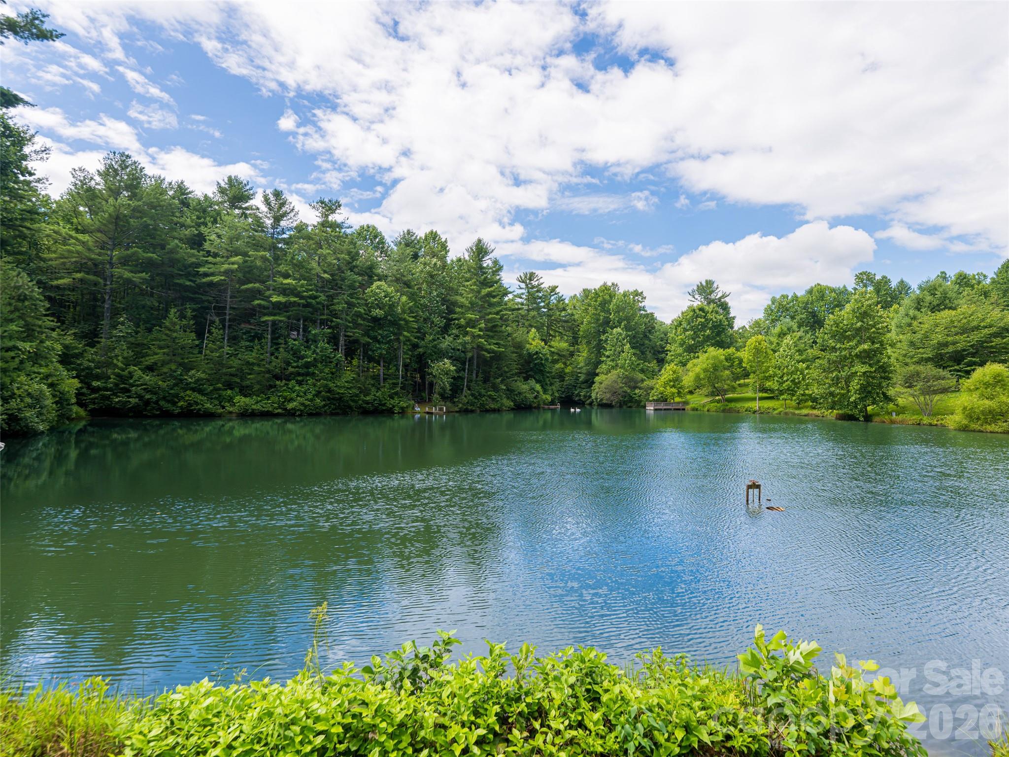 935 Whites Lake Boulevard Saluda NC 28773