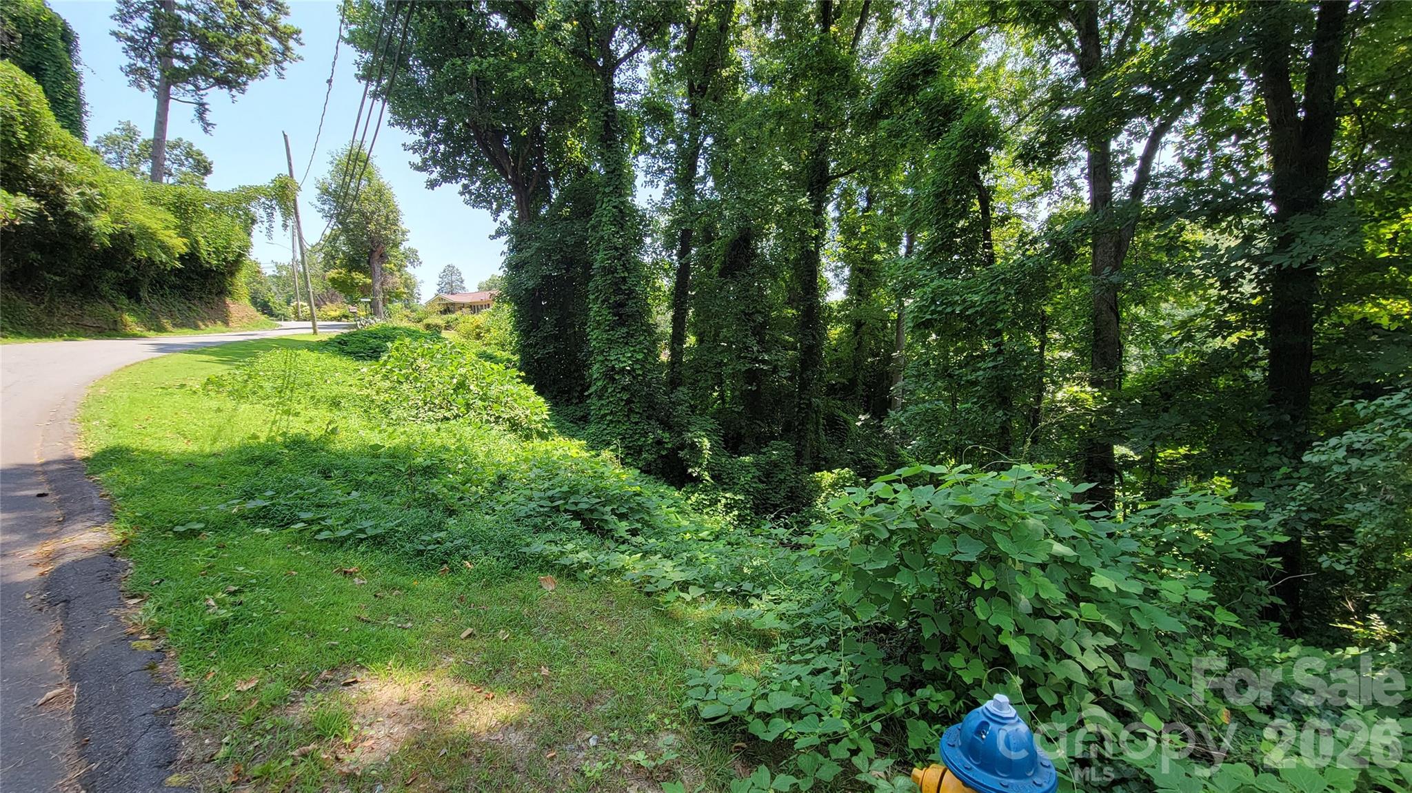 160 Cleveland Road Tryon NC 28782