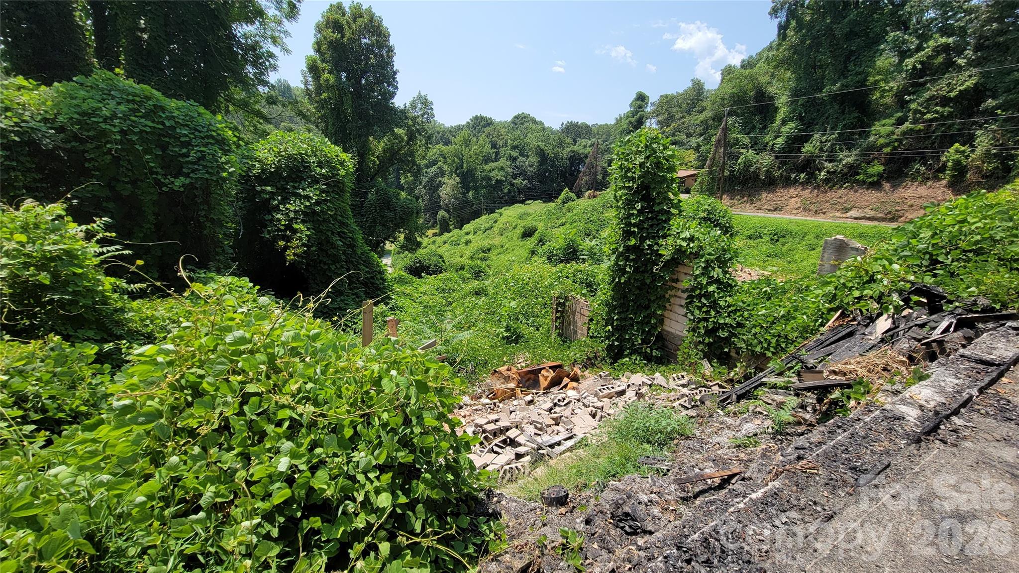 160 Cleveland Road Tryon NC 28782