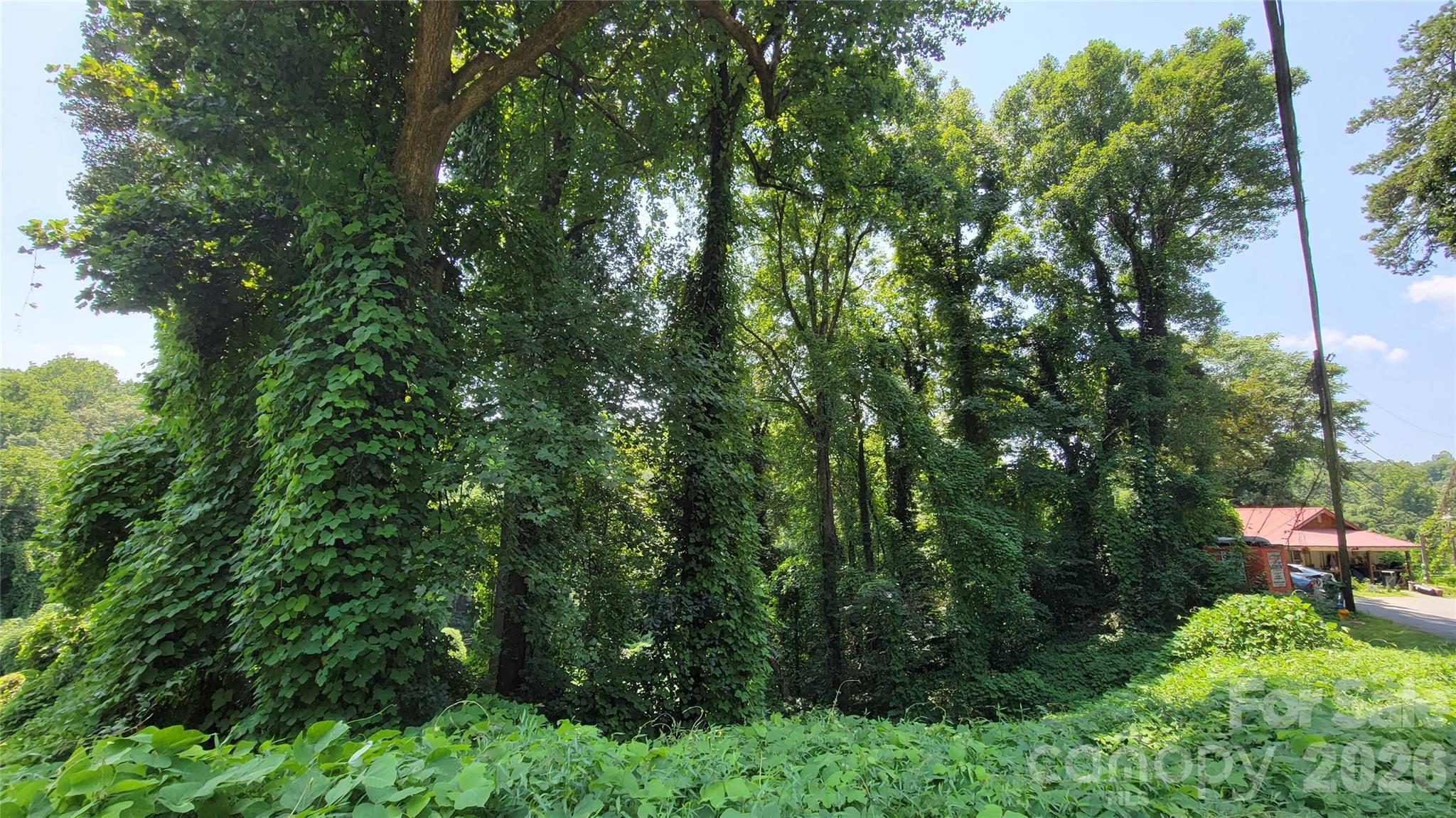 160 Cleveland Road Tryon NC 28782