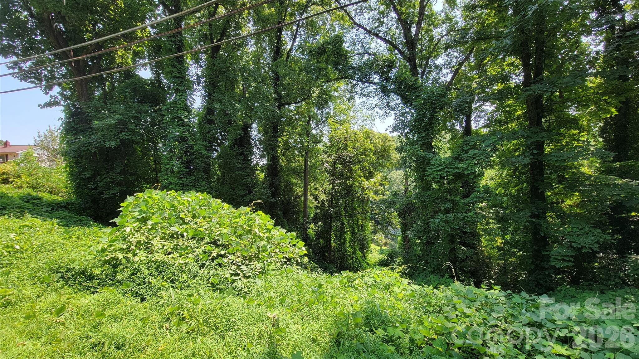 160 Cleveland Road Tryon NC 28782