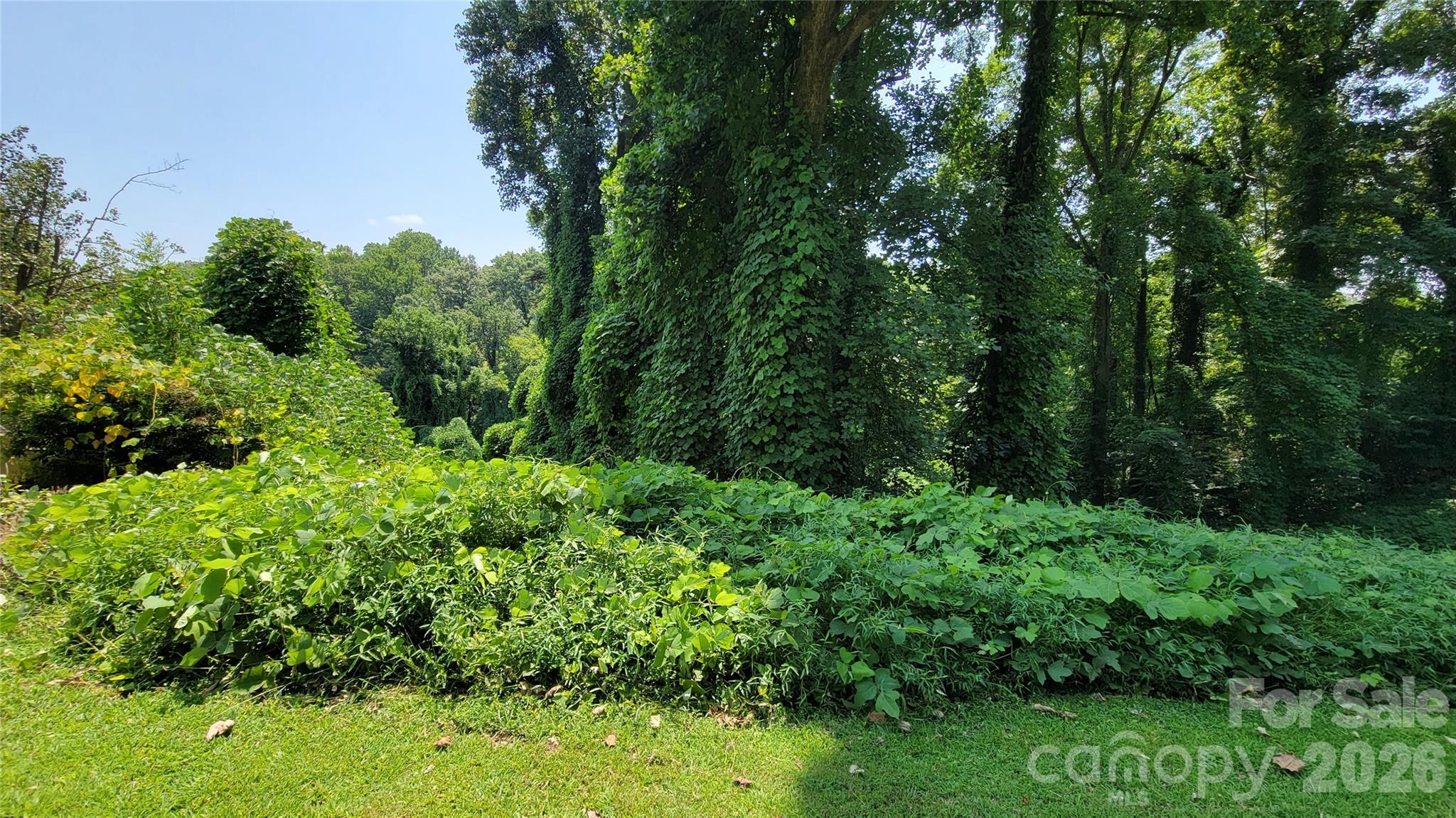 160 Cleveland Road Tryon NC 28782