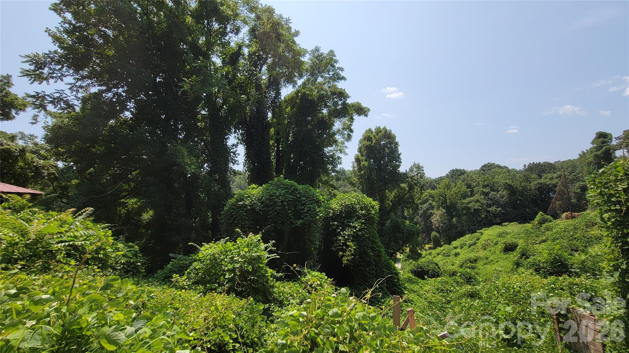 160 Cleveland Road Tryon NC 28782