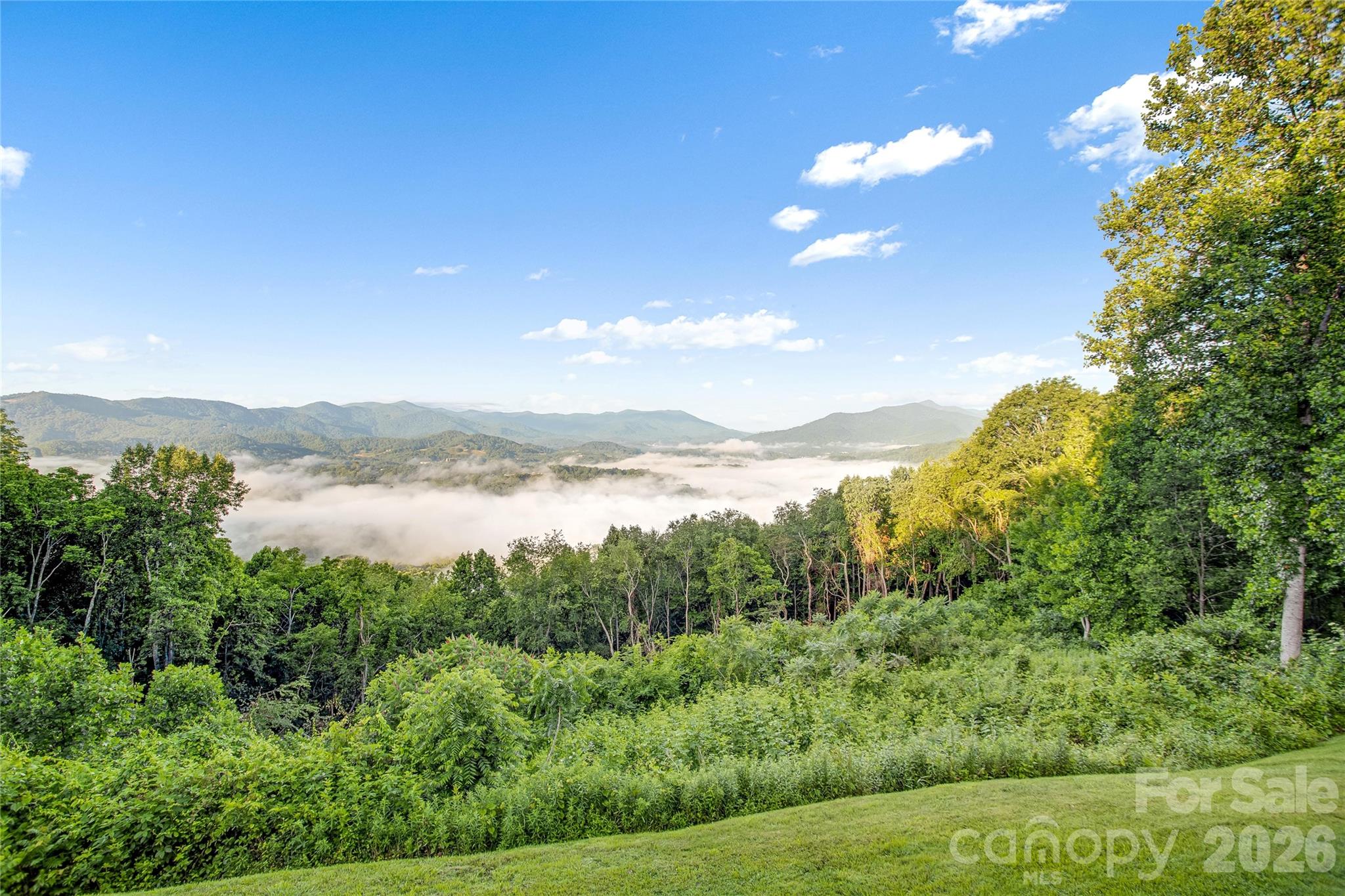 1087 Brigadoon Drive Clyde NC 28721
