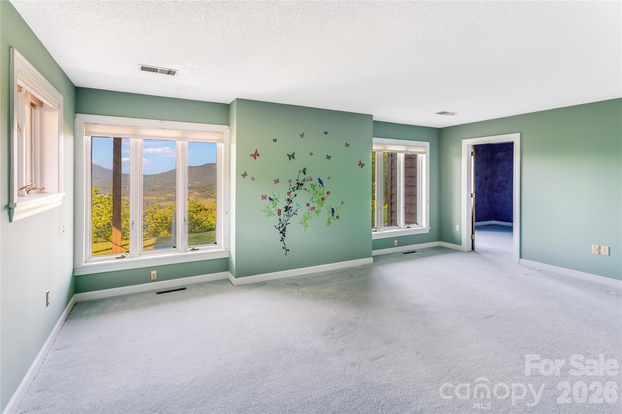 1087 Brigadoon Drive Clyde NC 28721