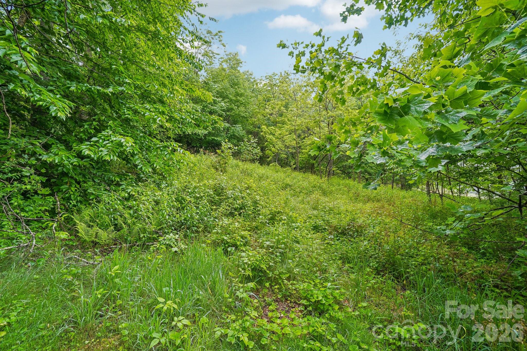 434 Dovers Branch Road Burnsville NC 28714
