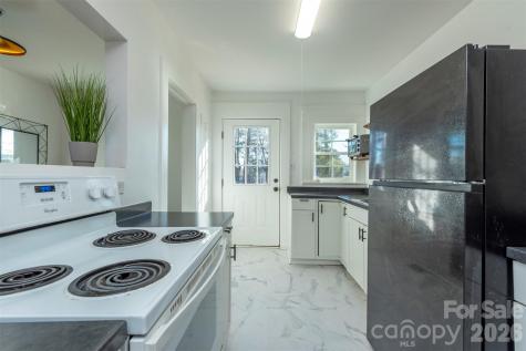 17 Springdale Avenue Asheville NC 28803