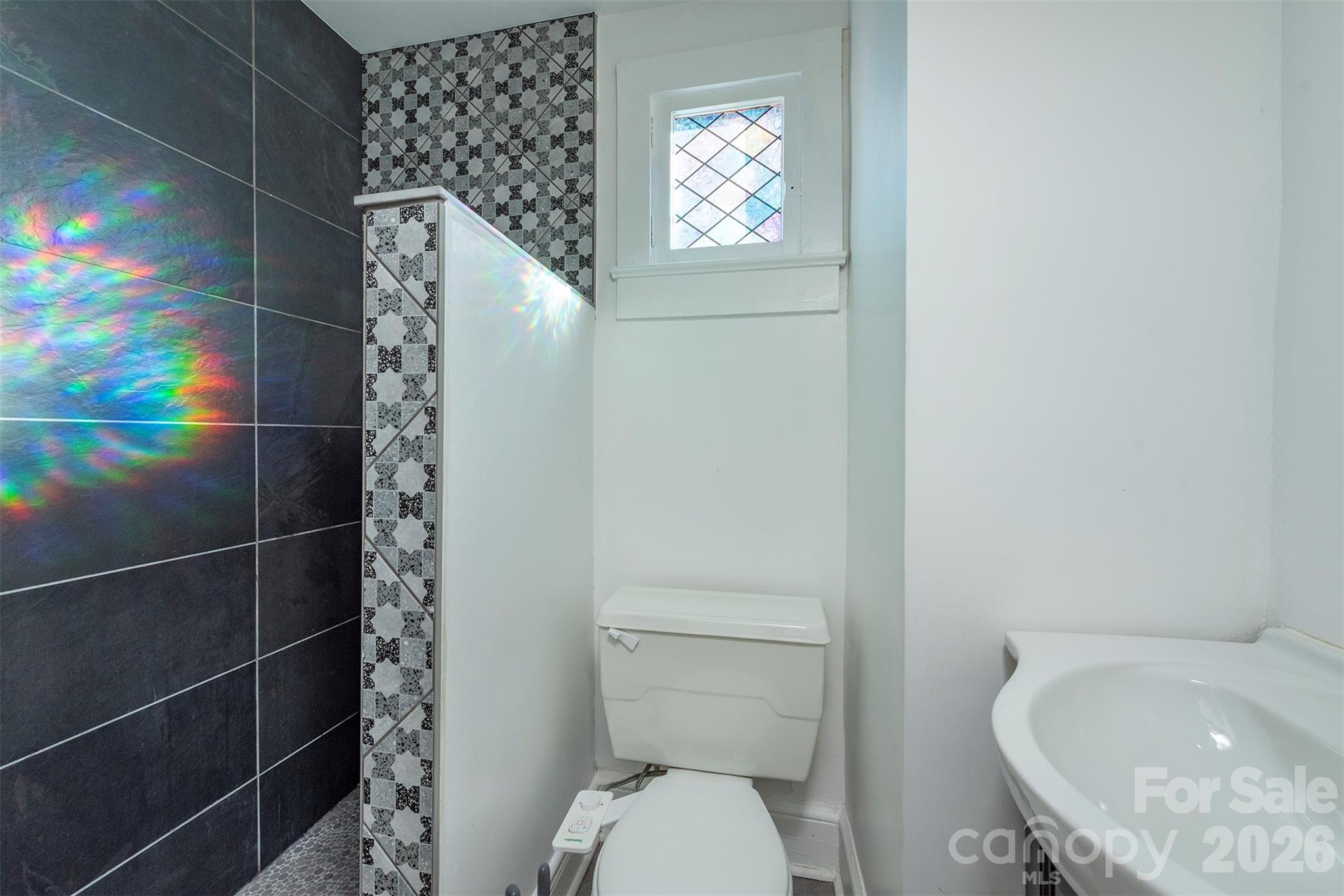 17 Springdale Avenue Asheville NC 28803