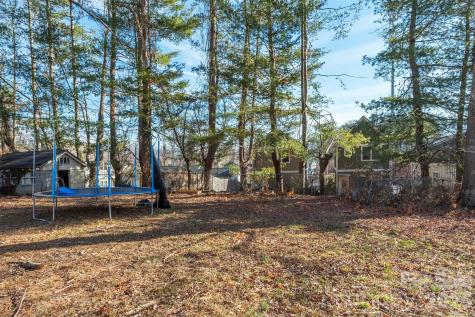 17 Springdale Avenue Asheville NC 28803