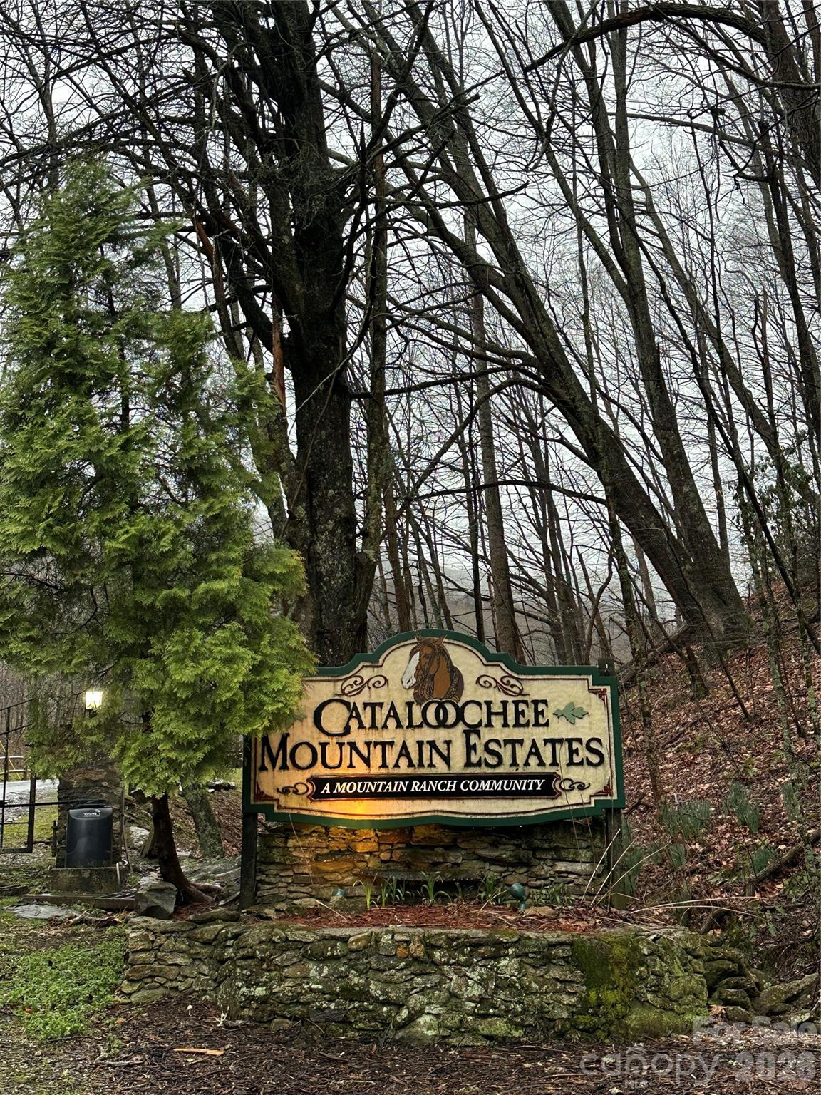616 Appaloosa Trail Waynesville NC 28785