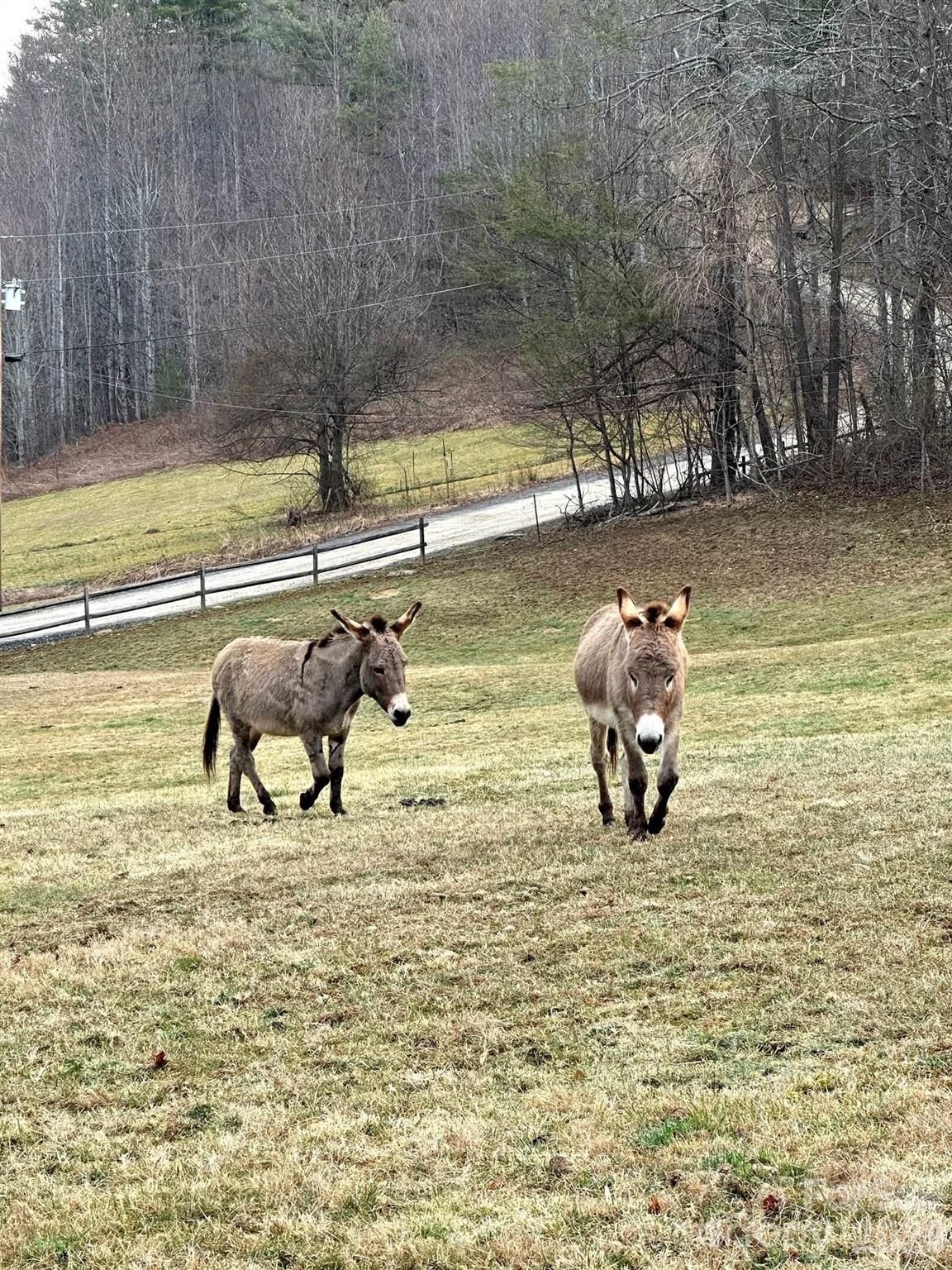 616 Appaloosa Trail Waynesville NC 28785