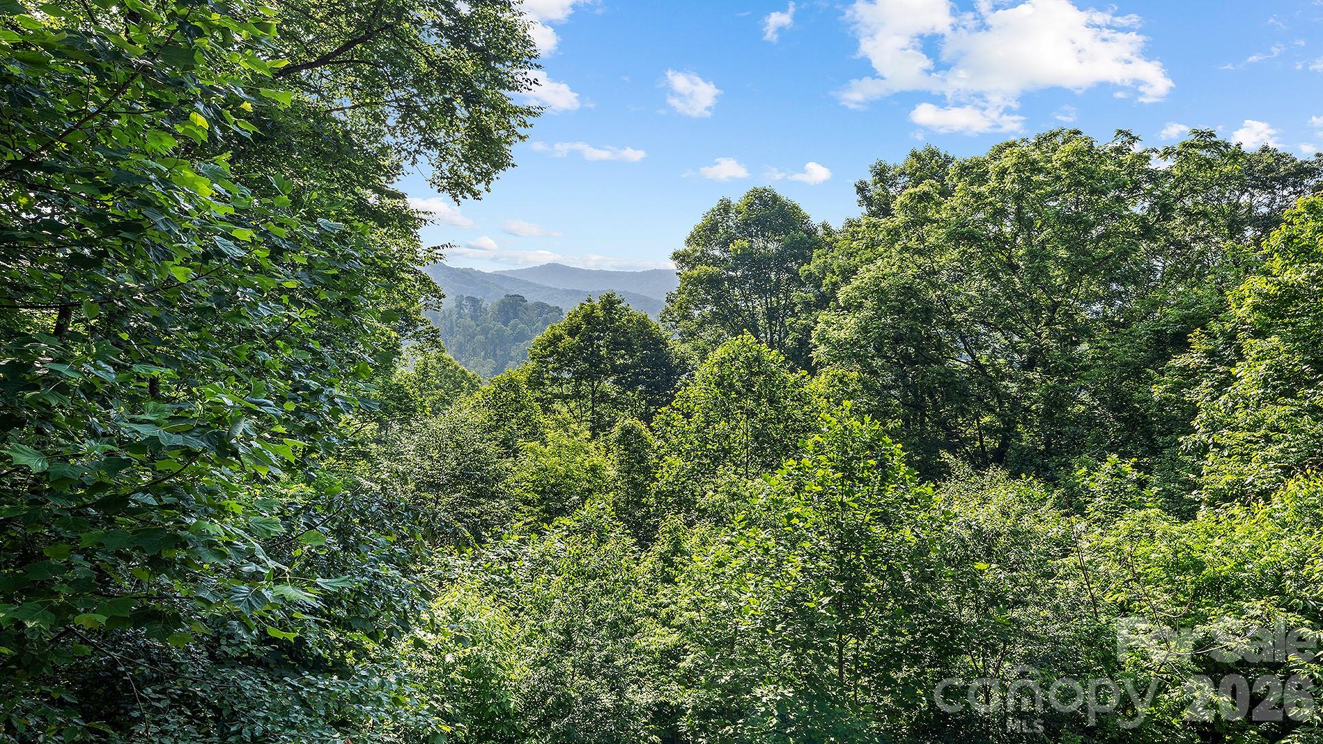 616 Appaloosa Trail Waynesville NC 28785