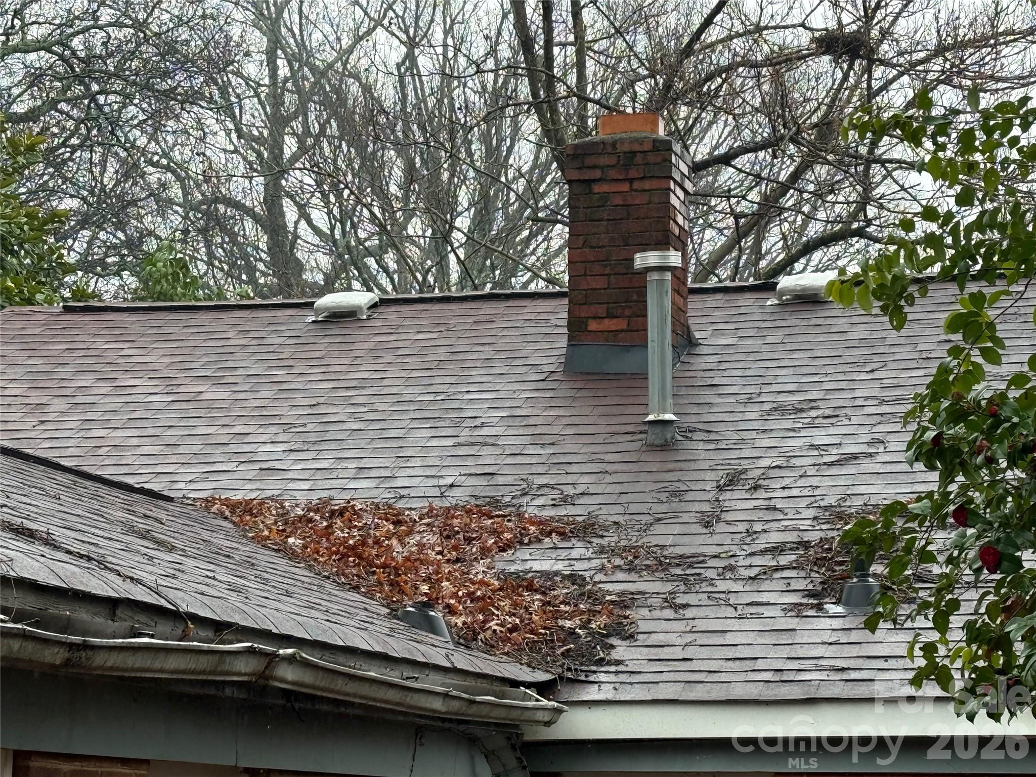 3905 Mcmillan Street Charlotte NC 28205