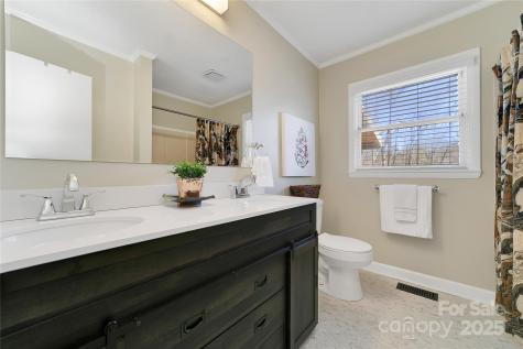 164 Waldsi Court Brevard NC 28712