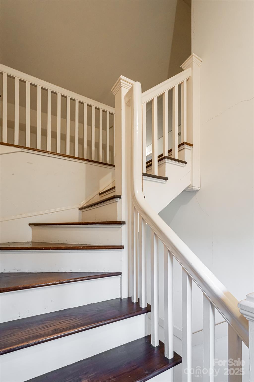 407 Vanderbilt Road Asheville NC 28803