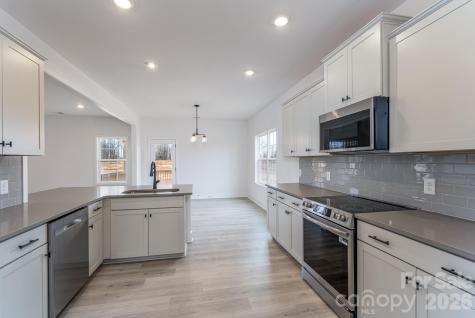 1230 Gardenia Drive Mt Ulla NC 28125