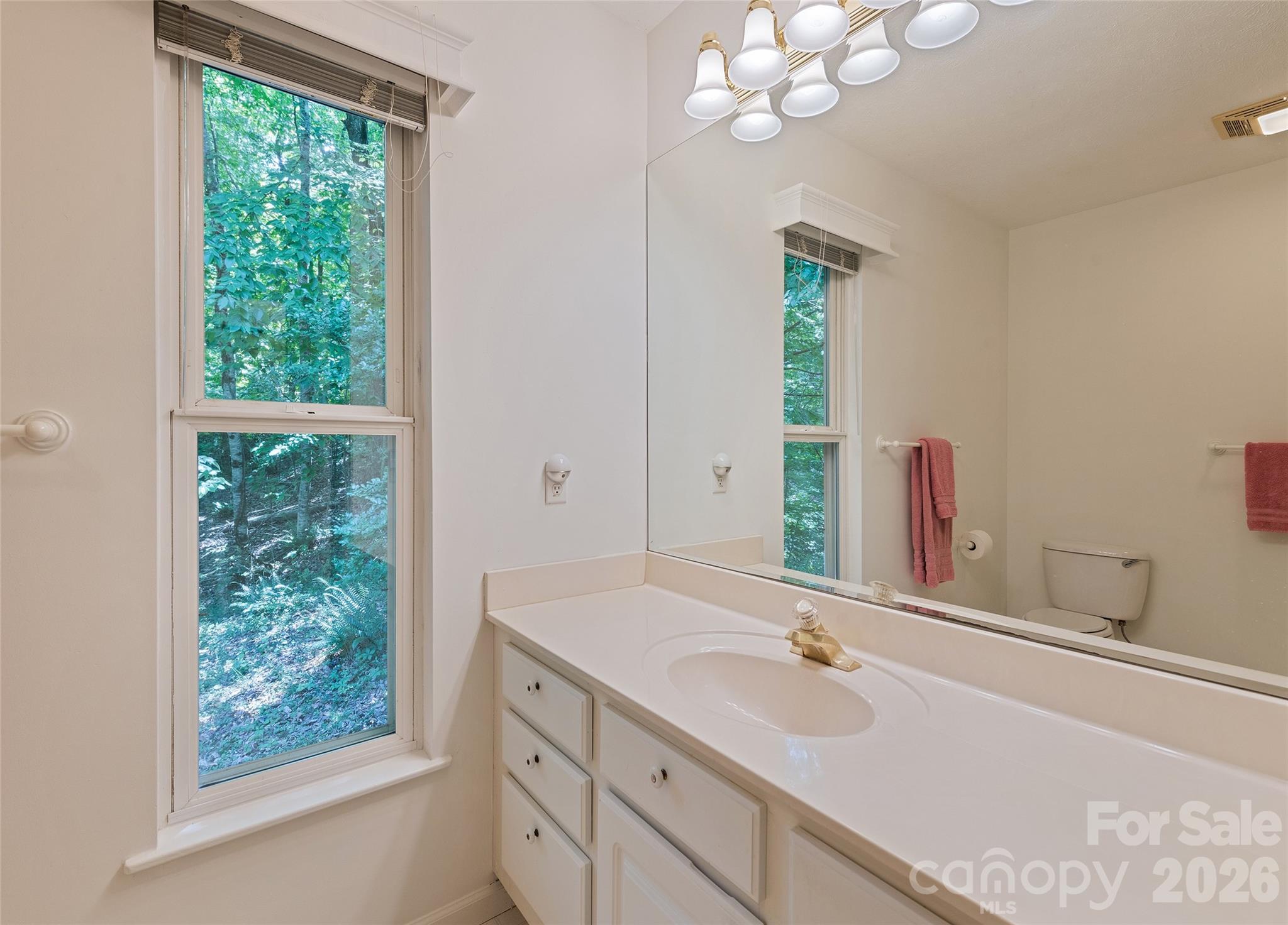 21 Winterview Trail Hendersonville NC 28739