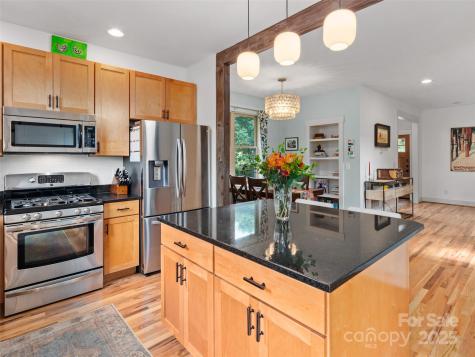 14 Alabama Avenue Asheville NC 28806