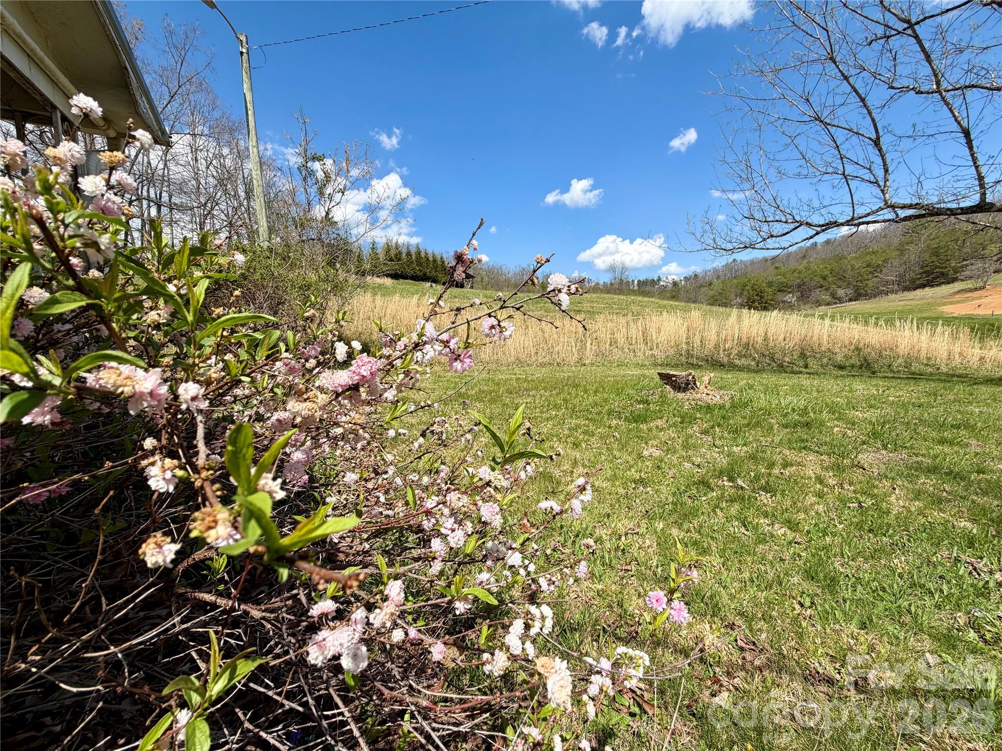 637 Fletcher Martin Road Alexander NC 28701