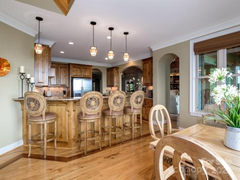 41 Annakesta Court Brevard NC 28712
