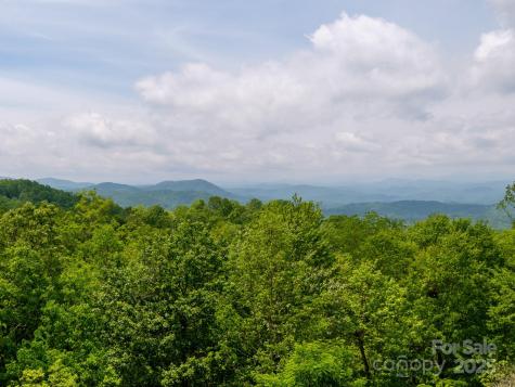 41 Annakesta Court Brevard NC 28712